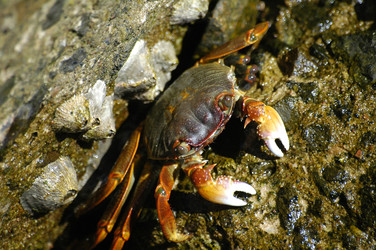 Similar image 21479217