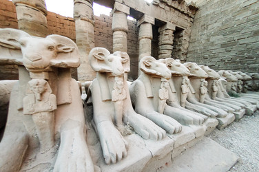 Similar image 21479253