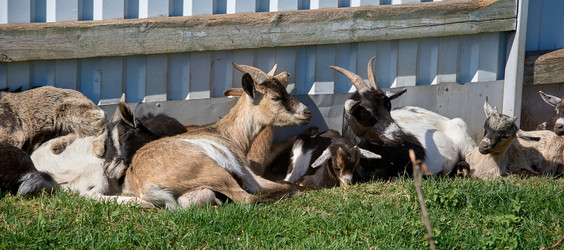 Similar image 21479043