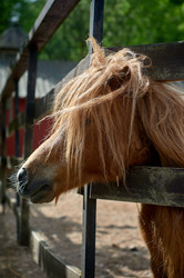 Similar image 21479046