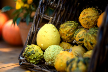 Similar image 21479363