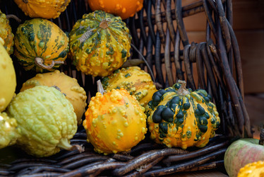 Similar image 21480399