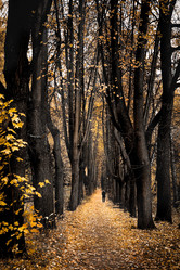 Similar image 21480400