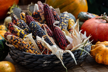 Similar image 21479365