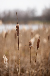 Similar image 21479367