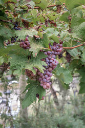 Similar image 21479368