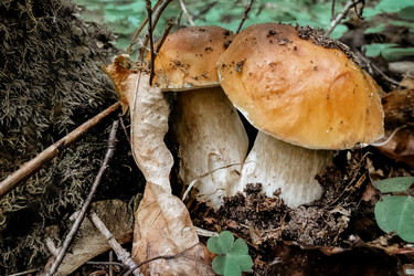 Similar image 21479370