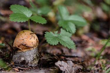 Similar image 21480409