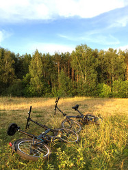 Similar image 21479374