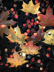 Similar image 21480413