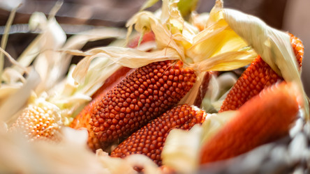 Similar image 21479376