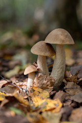 Similar image 21480419