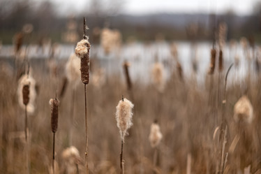 Similar image 21479380