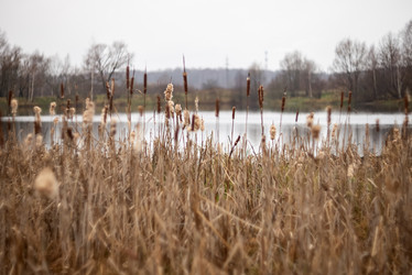 Similar image 21480421