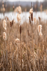 Similar image 21480422