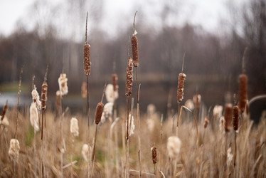 Similar image 21480423