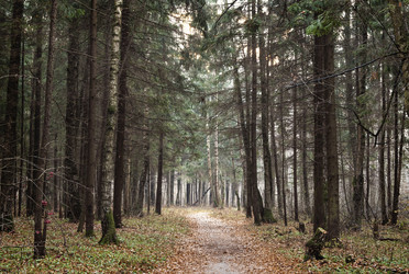 Similar image 21479382