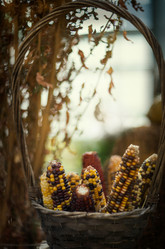 Similar image 21480424