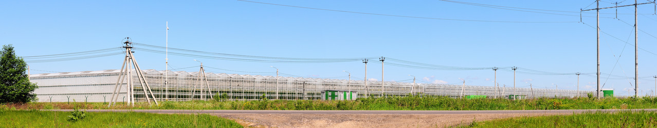 Similar image 21479050