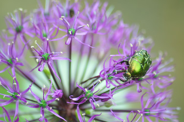 Similar image 21479052