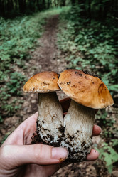 Similar image 21480564