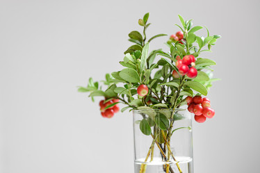 Similar image 21480566