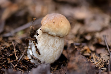 Similar image 21480568