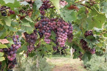 Similar image 21479384