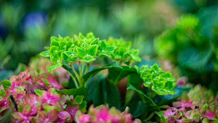 Similar image 21479385