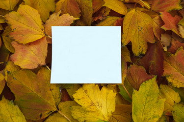 Similar image 21480329