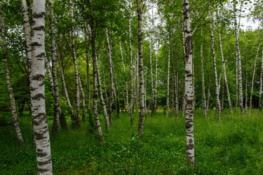 Similar image 21480336