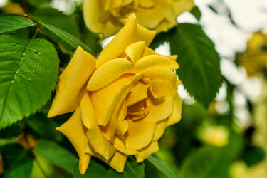 Similar image 21479067