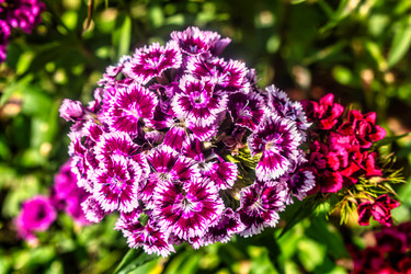 Similar image 21479389