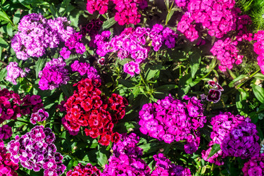 Similar image 21479390