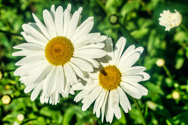 Similar image 21479391