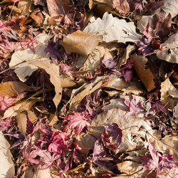 Similar image 21478970