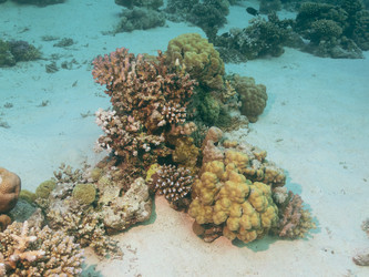 Similar image 21478972