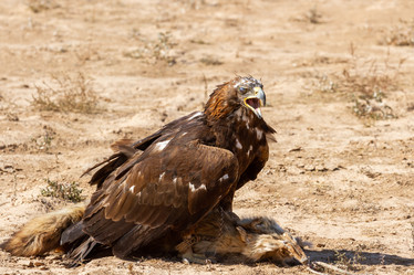 Similar image 21478976