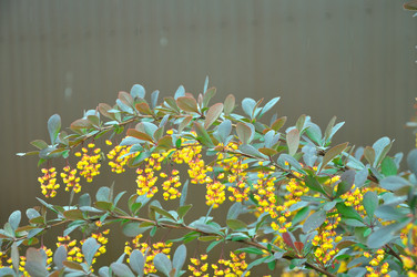 Similar image 21480248