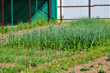 Similar image 21480250