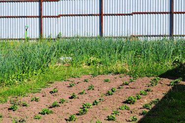 Similar image 21480251