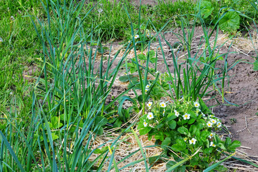 Similar image 21479395