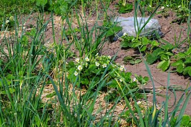 Similar image 21479396