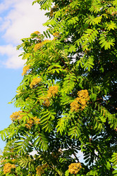 Similar image 21479397