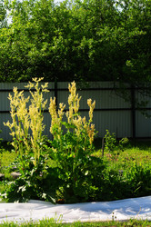 Similar image 21479398