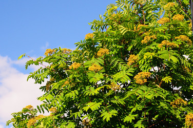 Similar image 21479400