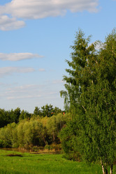 Similar image 21479401