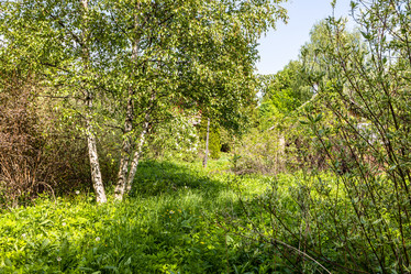 Similar image 21479079