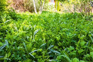 Similar image 21479083