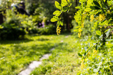 Similar image 21479088